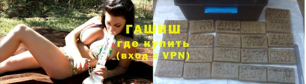индика Белокуриха
