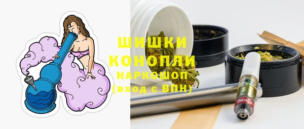 индика Белокуриха