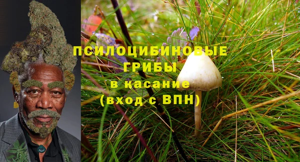 ПСИЛОЦИБИНОВЫЕ ГРИБЫ Белоозёрский
