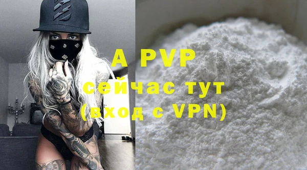 индика Белокуриха