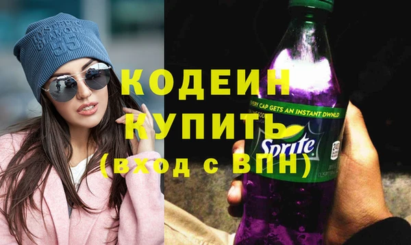индика Белокуриха