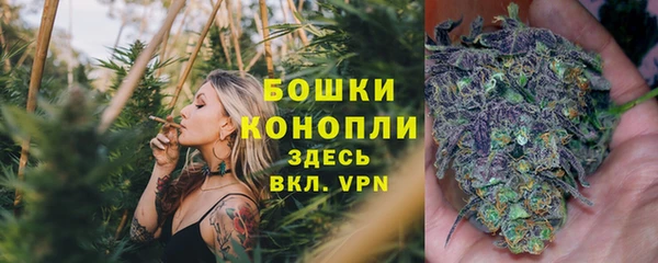 ГАЛЛЮЦИНОГЕННЫЕ ГРИБЫ Беломорск