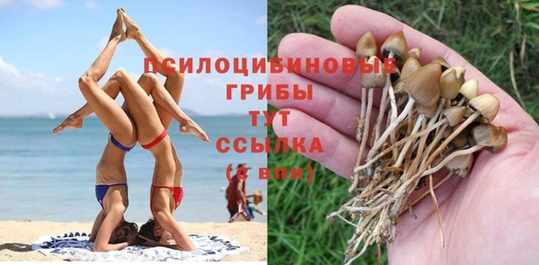 ПСИЛОЦИБИНОВЫЕ ГРИБЫ Белоозёрский