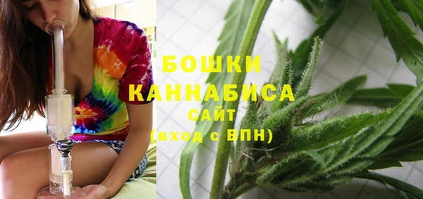 ПСИЛОЦИБИНОВЫЕ ГРИБЫ Белоозёрский